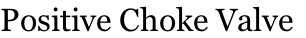 Positive Choke Valve