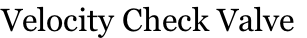 Velocity Check Valve